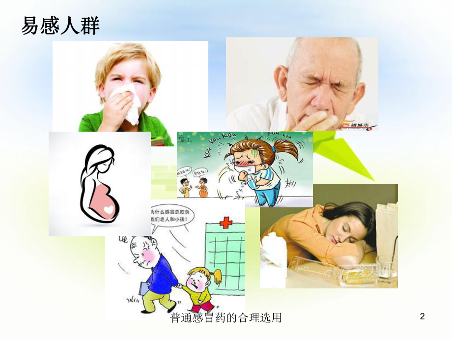 普通感冒药的合理选用培训课件.ppt_第2页