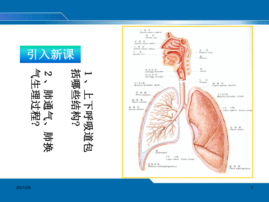 护理评估第四章三四五六节课件.ppt_第2页