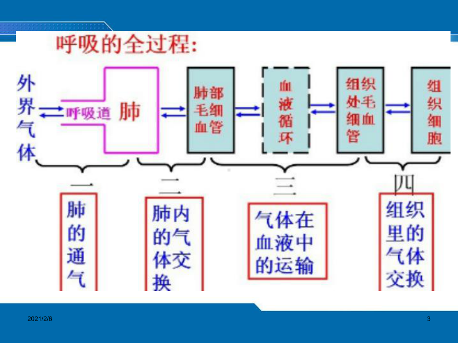 护理评估第四章三四五六节课件.ppt_第3页