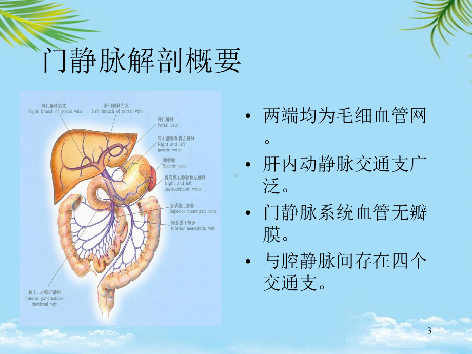 教培用门静脉高压症课件.ppt_第3页