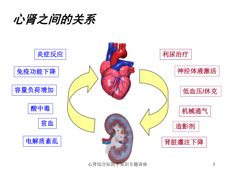 心肾综合征医学知识专题讲座培训课件.ppt_第3页