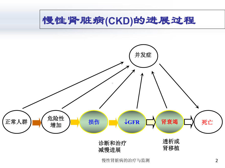 慢性肾脏病的治疗与监测课件.ppt_第2页