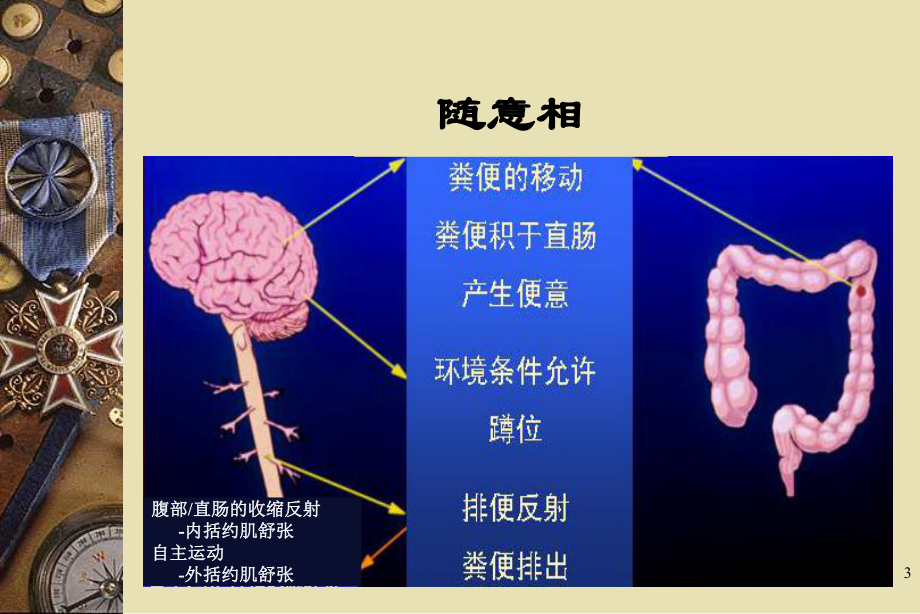 慢性便秘进展及诊治规范医学课件.ppt_第3页