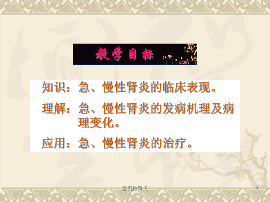 急慢性肾炎课件.ppt_第3页