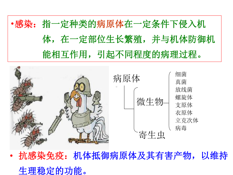 感染免疫和疫苗教学课件.ppt_第2页