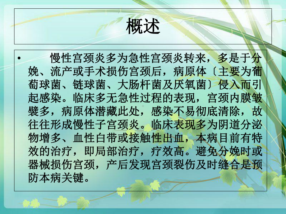 慢性宫颈炎的护理措施课件.ppt_第2页