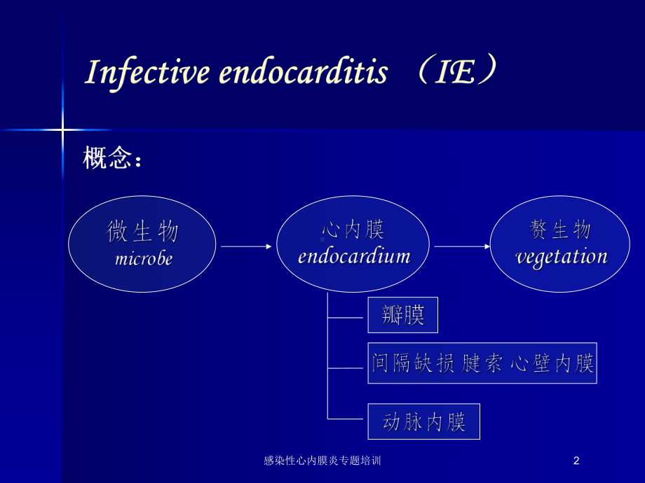 感染性心内膜炎专题培训培训课件.ppt_第2页