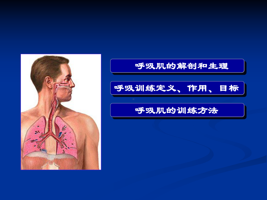 心肺功能康复训练培训课件.ppt_第2页