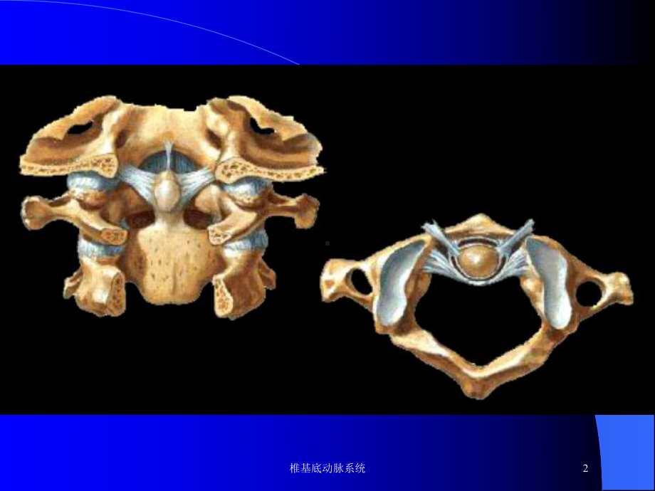 椎基底动脉系统培训课件.ppt_第2页