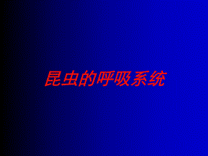 昆虫的呼吸系统培训课件.ppt