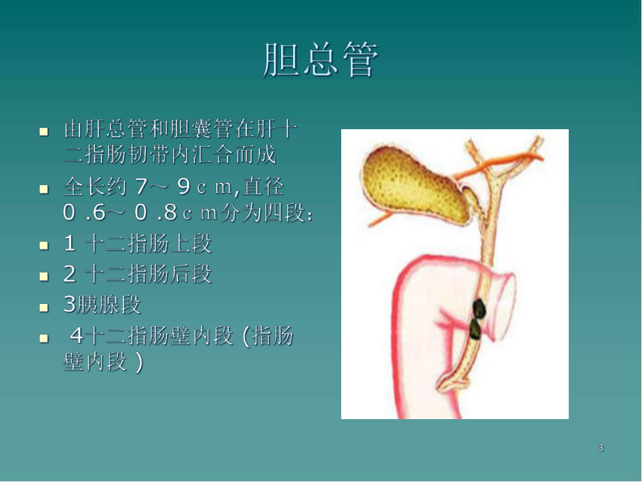 新版胆总管囊肿的影像学诊断课件.pptx_第3页