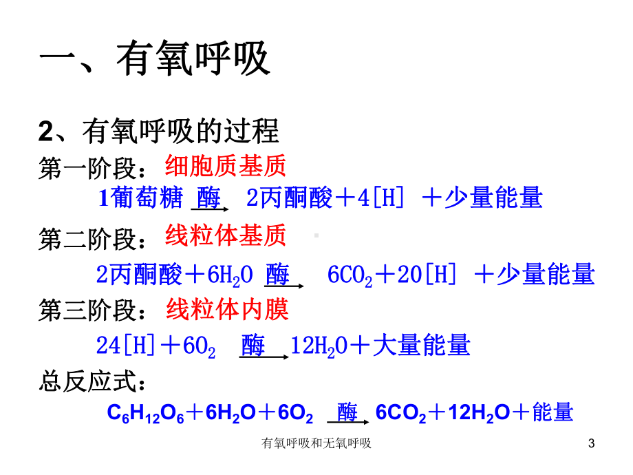 有氧呼吸和无氧呼吸培训课件.ppt_第3页