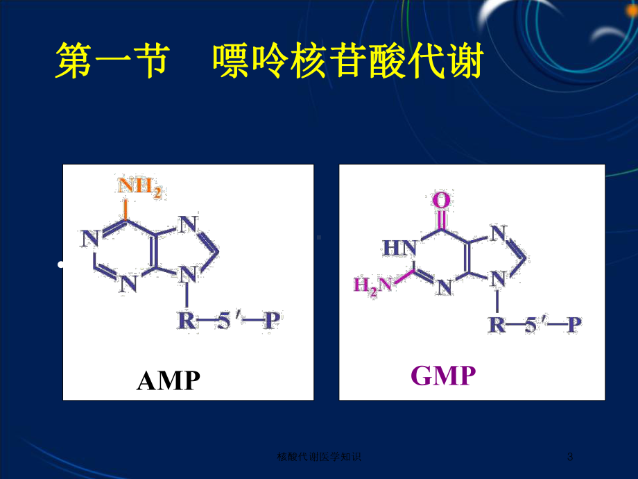 核酸代谢医学知识培训课件.ppt_第3页