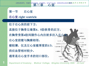 心脏的临床应用解剖心室课件.ppt