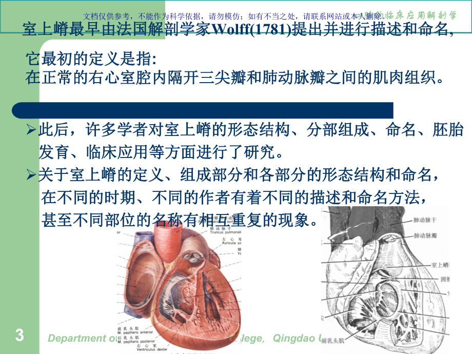 心脏的临床应用解剖心室课件.ppt_第3页