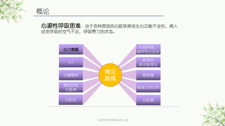 心源性呼吸困难急性心衰课件.ppt_第2页