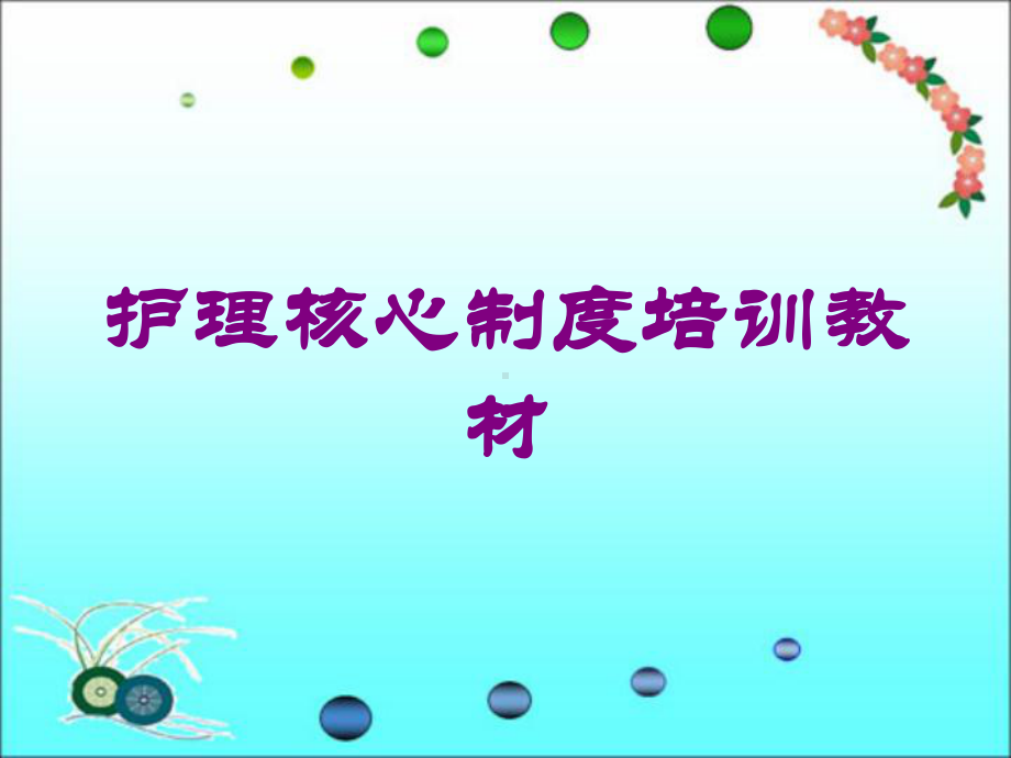 护理核心制度培训教材培训课件.ppt_第1页