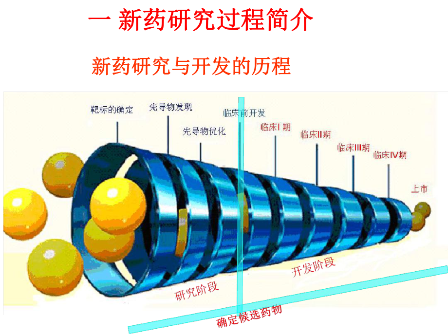 新药临床前药效学评价上课件.ppt_第3页