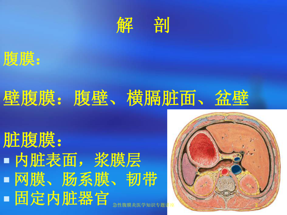 急性腹膜炎医学知识专题讲座培训课件.ppt_第2页