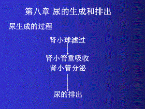 某大学医学院课程课件.ppt