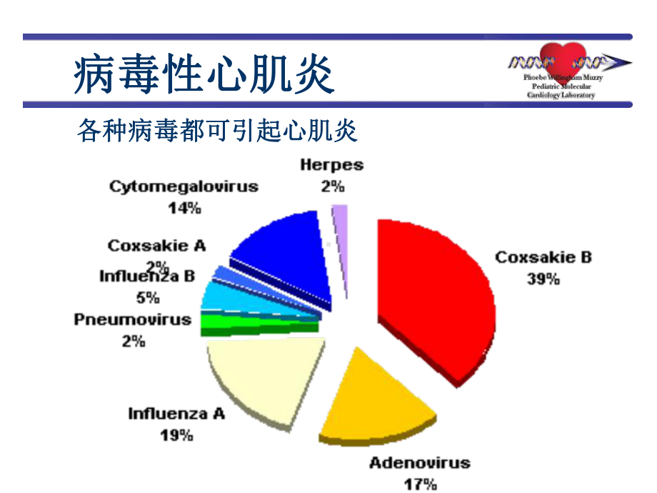 心肌病-医学宣教培训课件.ppt_第3页