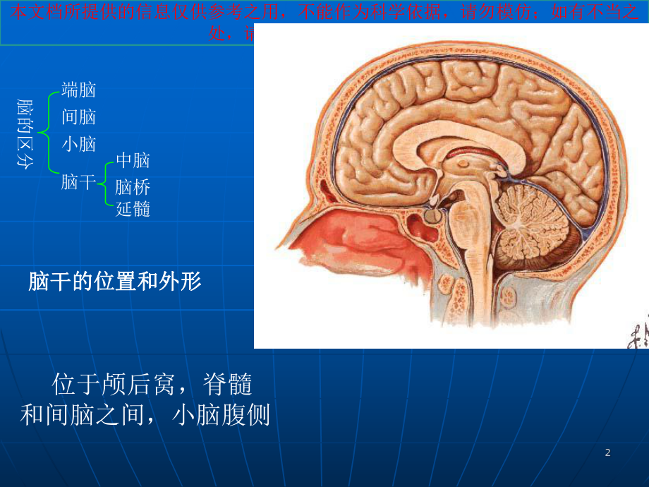 延髓医疗主题知识宣教培训课件.ppt_第2页