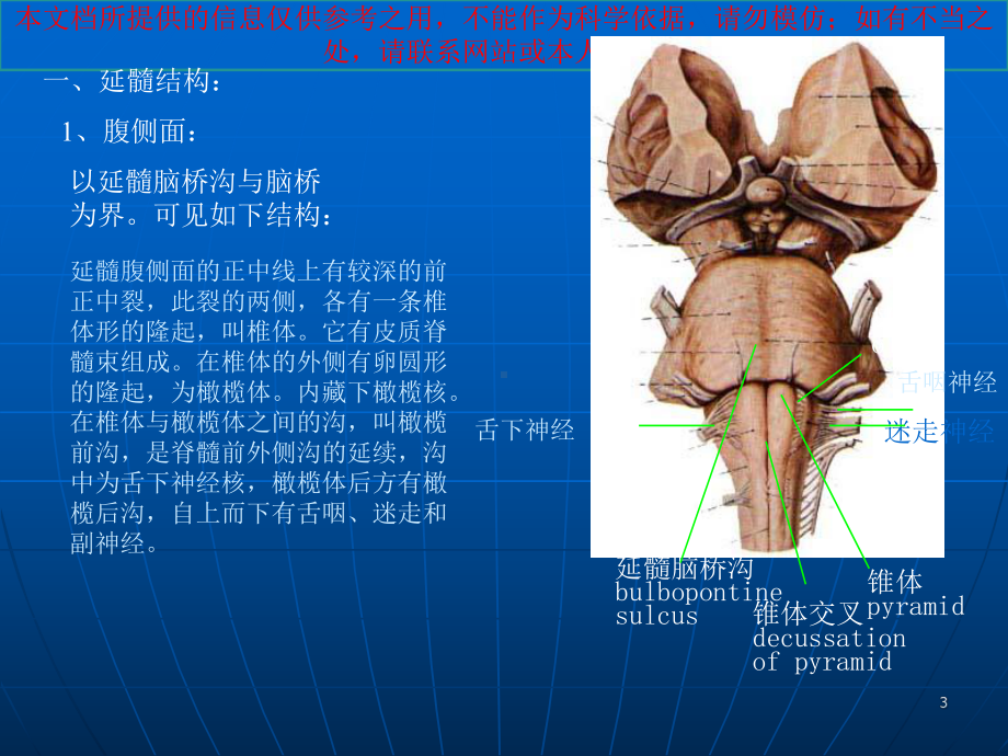 延髓医疗主题知识宣教培训课件.ppt_第3页