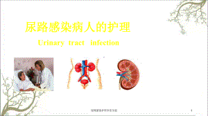 尿路感染护理非常全面课件.ppt