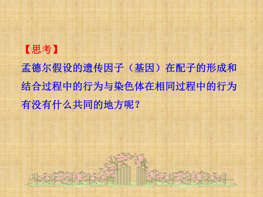 春高中生物第二章染色体与遗传第二节遗传的染色体学说课件浙科版必修.ppt_第3页