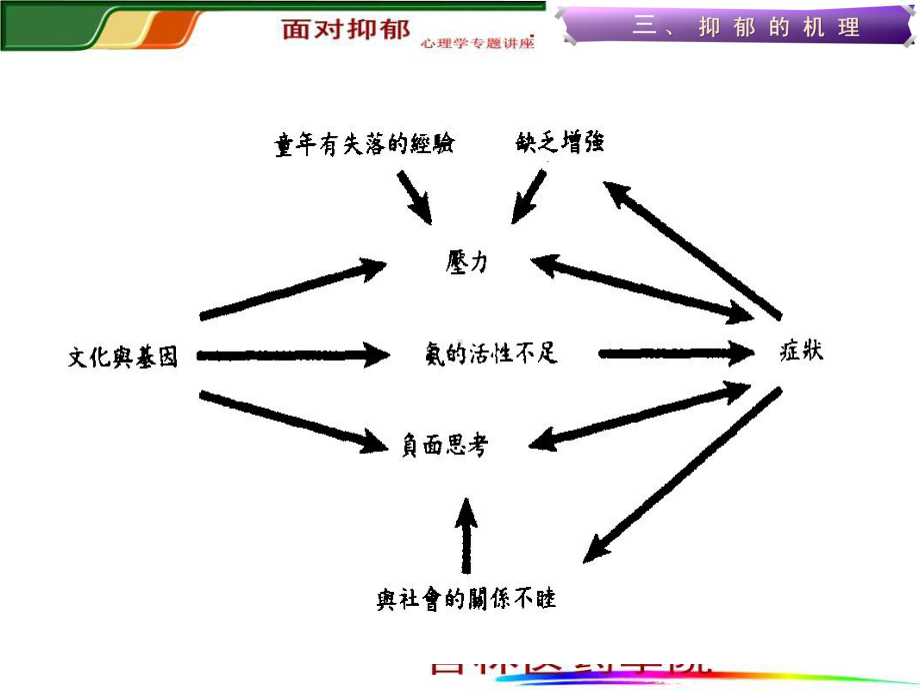 抑郁症的单胺假说课件.ppt_第2页