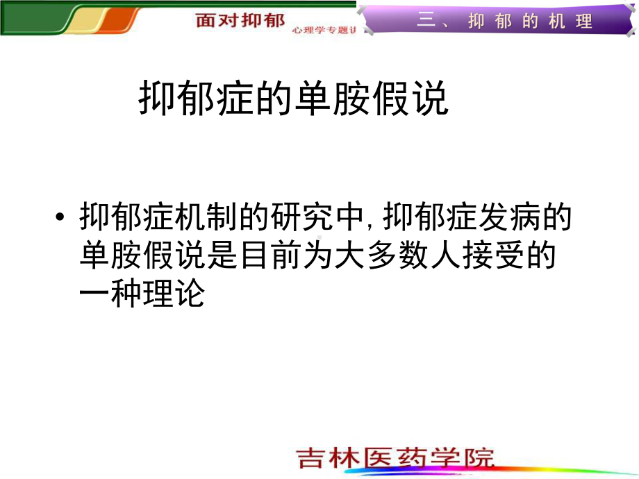 抑郁症的单胺假说课件.ppt_第3页