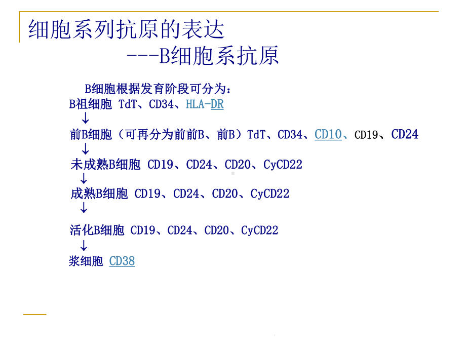 急性白血病免疫分型课件.ppt_第1页