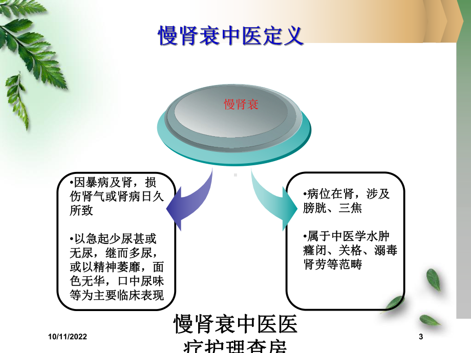 慢肾衰中医医疗护理查房培训课件.ppt_第3页