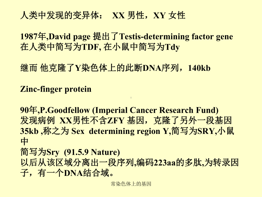 常染色体上的基因课件.ppt_第2页