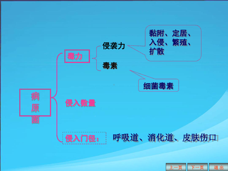 微生物的感染与检查课件教学教材.ppt_第3页