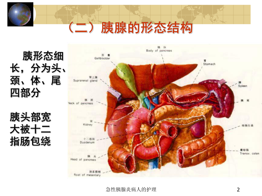 急性胰腺炎病人的护理培训课件.ppt_第2页