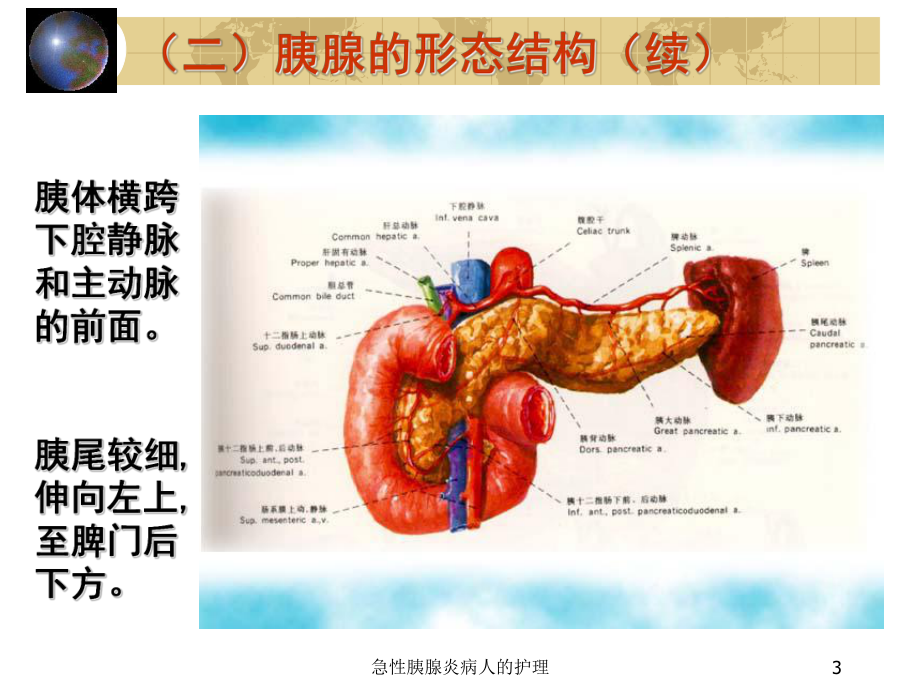 急性胰腺炎病人的护理培训课件.ppt_第3页