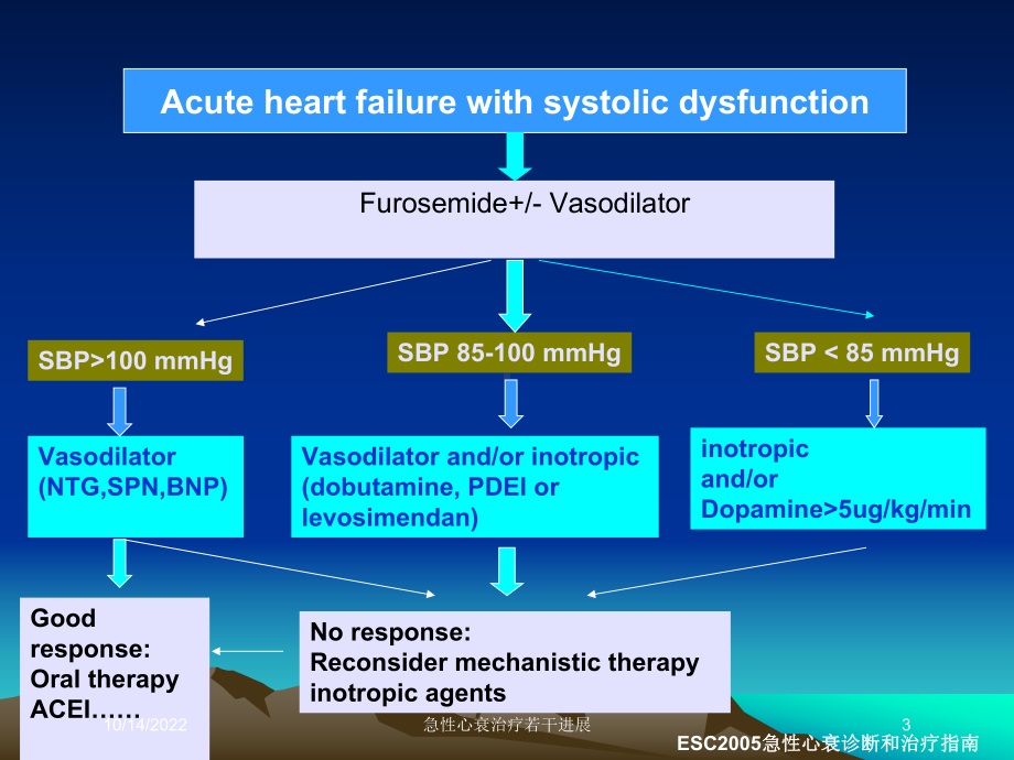 急性心衰治疗若干进展培训课件.ppt_第3页