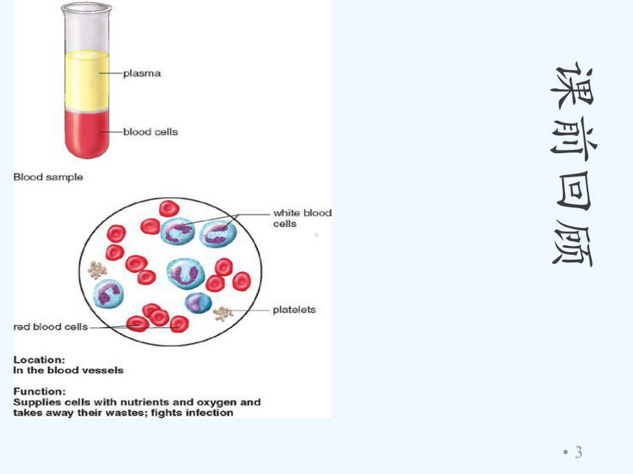 最全血液循环护士培训课件.ppt_第3页