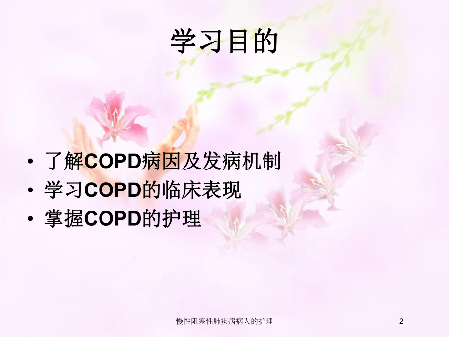 慢性阻塞性肺疾病病人的护理培训课件.ppt_第2页