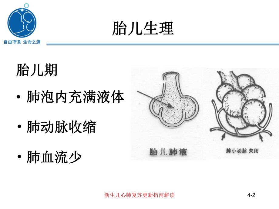 新生儿心肺复苏更新指南解读培训课件.ppt_第2页