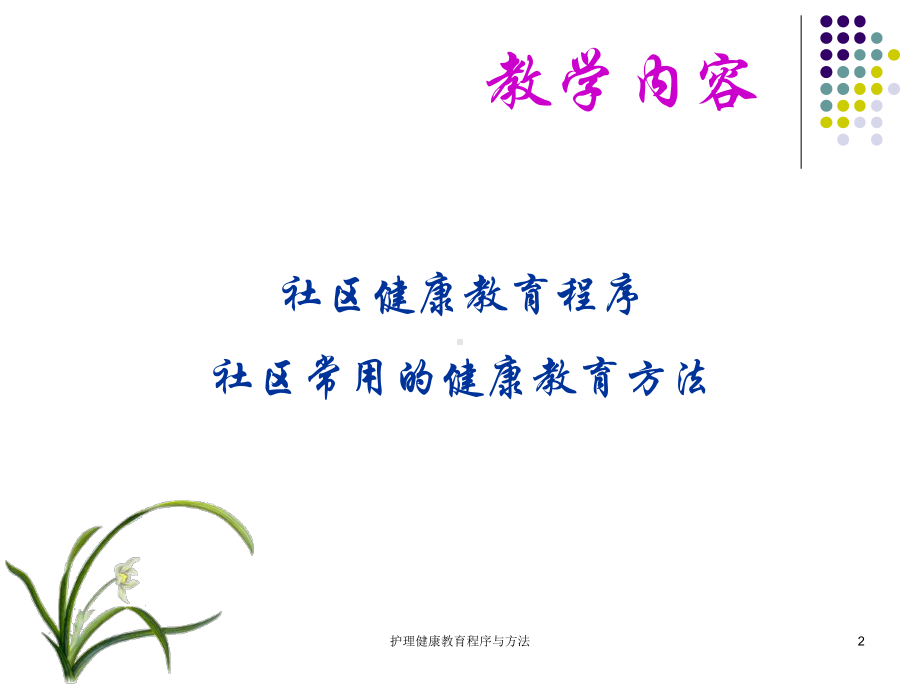 护理健康教育程序与方法课件.ppt_第2页