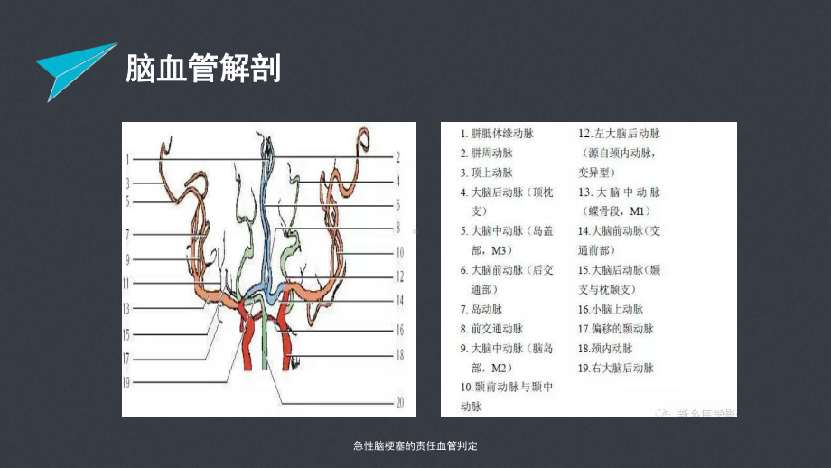 急性脑梗塞的责任血管判定课件.pptx_第3页