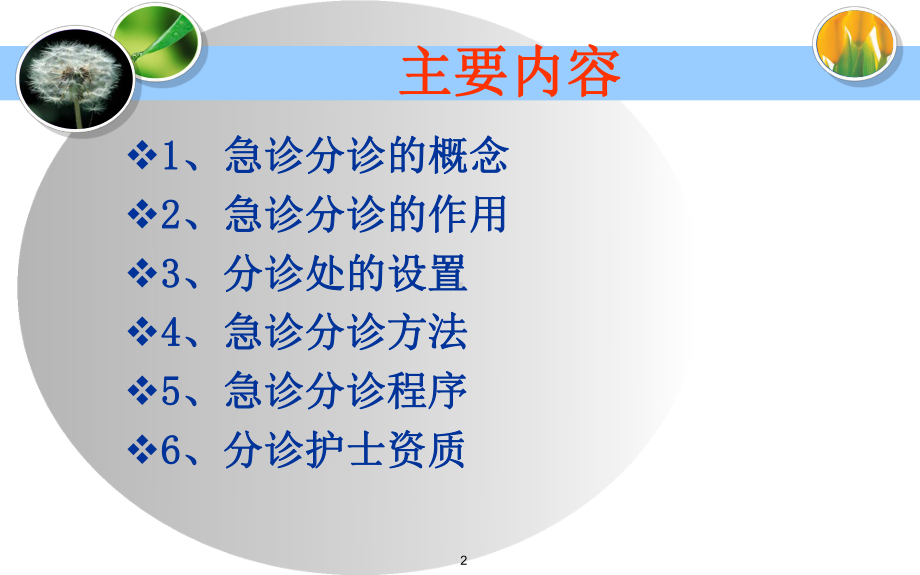 急诊分诊与护理评估课件-.ppt_第2页