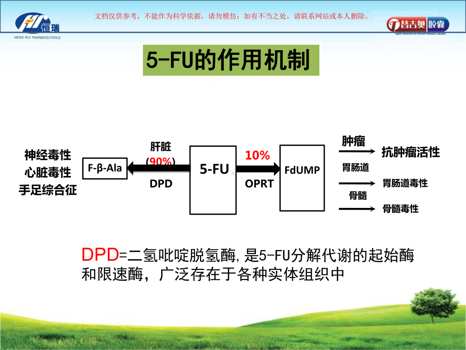 替吉奥胶囊医学知识专题讲座培训课件.ppt_第2页