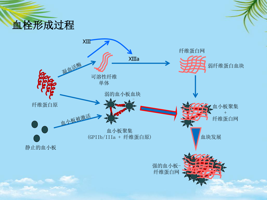 教培用血栓形成及溶栓基本知识大略复习课件.ppt_第2页