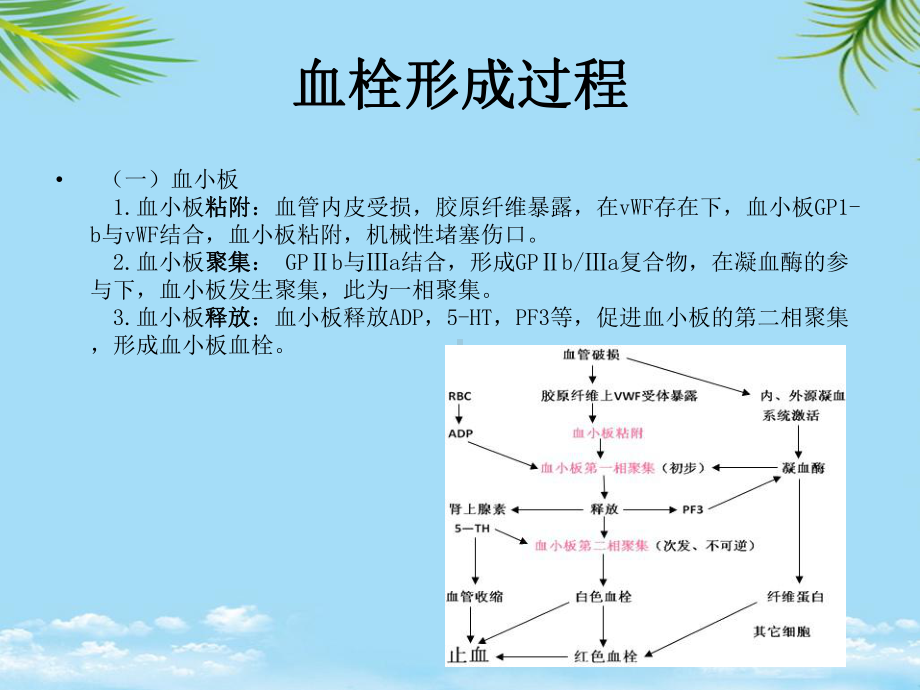 教培用血栓形成及溶栓基本知识大略复习课件.ppt_第3页