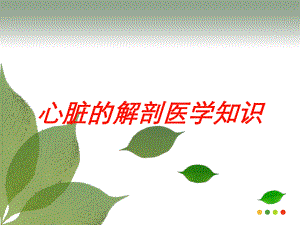 心脏的解剖医学知识培训课件.ppt