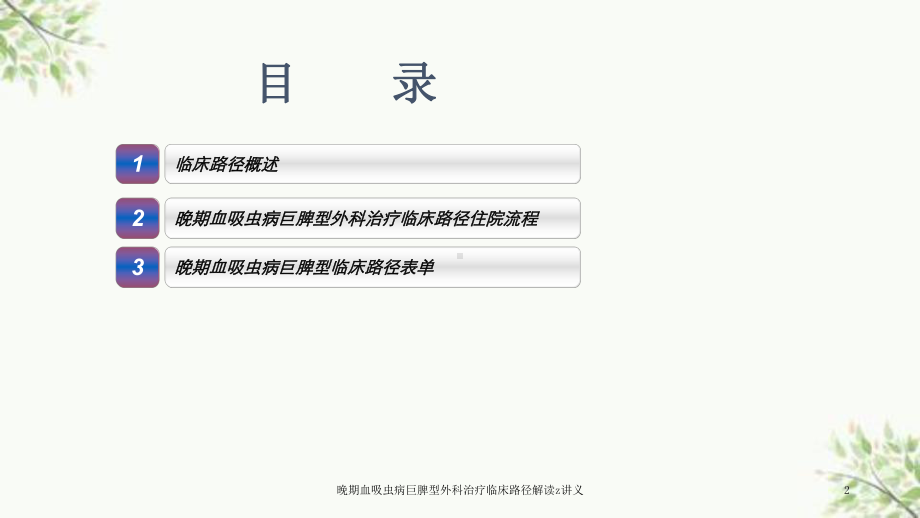 晚期血吸虫病巨脾型外科治疗临床路径解读z讲义课件.ppt_第2页