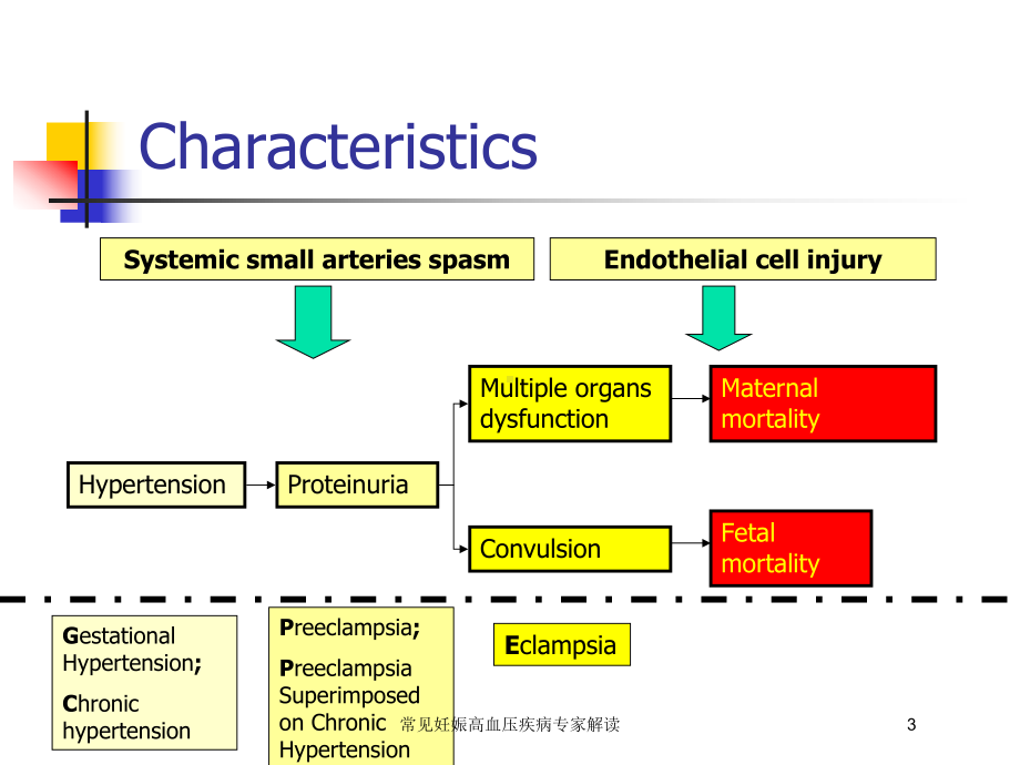 常见妊娠高血压疾病专家解读培训课件.ppt_第3页